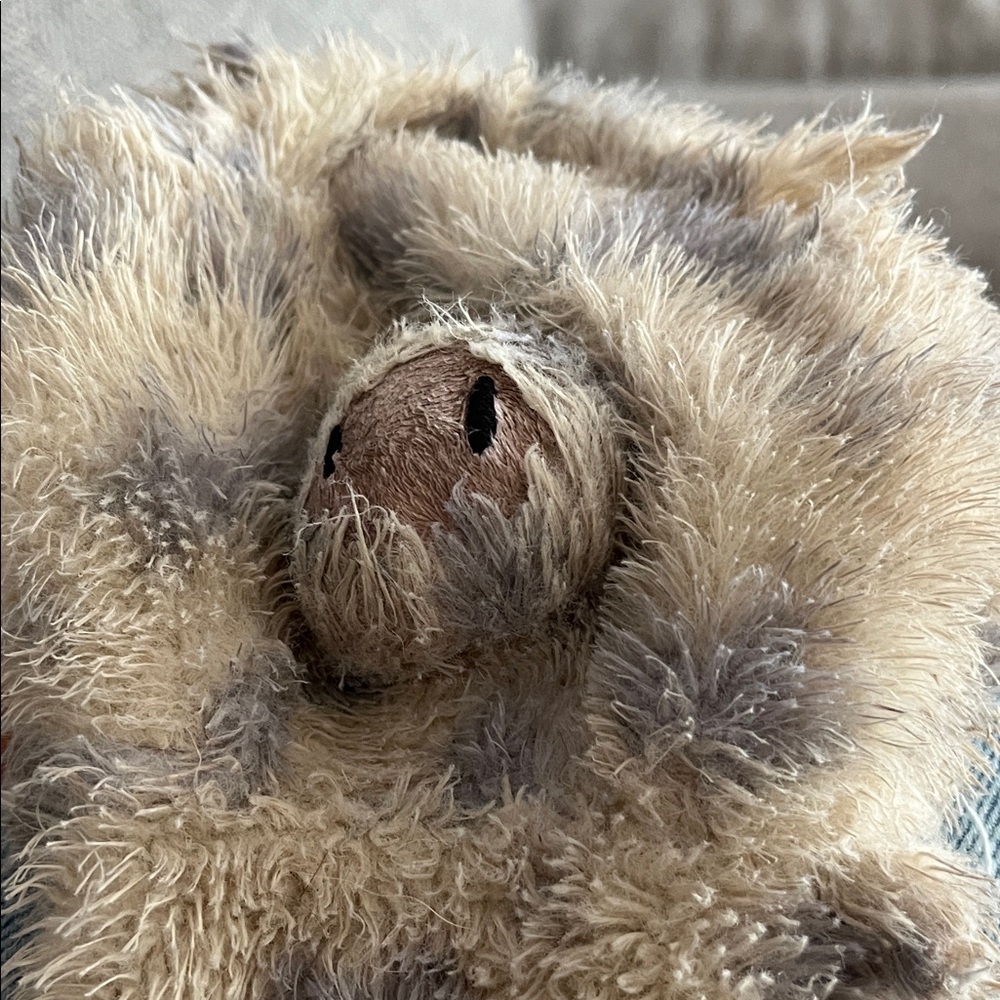 Plush Sloth Toy